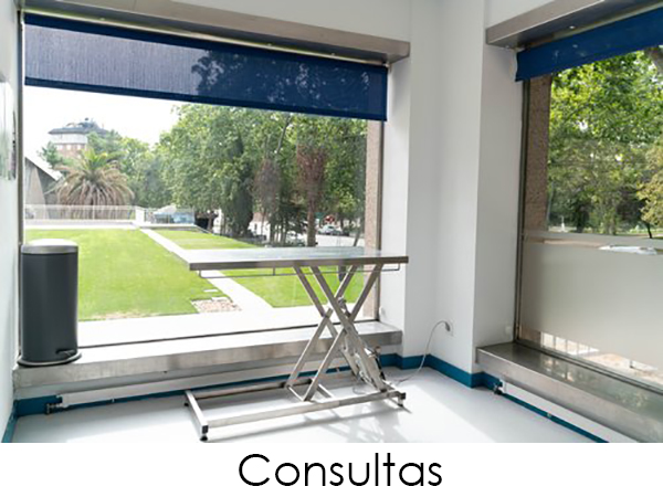 Disponemos de 4 consultas para la atención de nuestros pacientes. Una es de uso exclusivo para felinos, para que estén separados de los perros en todo momento. Son consultas amplias, luminosas y completamente equipadas.