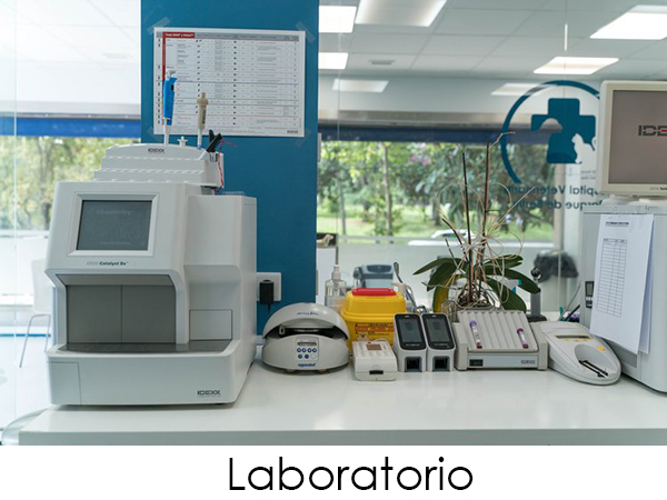 Nuestro laboratorio nos permite obtener resultados analíticos en cuestión de minutos (hematología, bioquímica, urianalisis, serologías, pruebas de coagulación, microscopio...) Sin duda, es fundamental para un rápido diagnóstico, especialmente en tratamientos de urgencia.