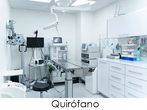 Nuestro quirófano está completamente equipado para afrontar todo tipo de cirugías (Endoscopia, microscopio oftálmico, láser quirúrgico...) pero lo más valioso de nuestro quirófano, son sin duda nuestros cirujanos disponibles las 24 horas todos los días del año.