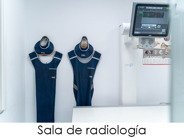 Disponemos de los últimos avances en radiología digital, que nos permiten obtener imágenes de gran calidad en muy poco tiempo, minimizando la exposición a nuestros pacientes.